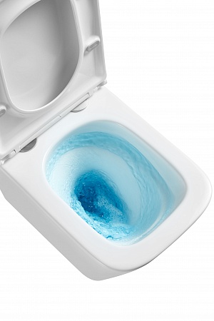 Подвесной унитаз безободковый Terminus Ватикан Monolit 490х340 белый Ставрополь - фото 8