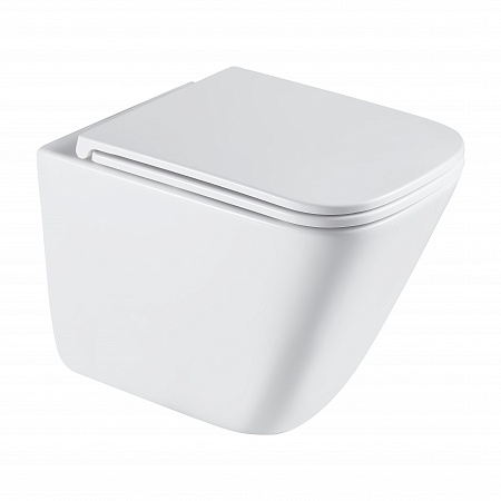 Подвесной унитаз безободковый Terminus Ватикан Monolit 490х340 белый Ставрополь - фото 2