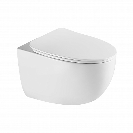 Подвесной унитаз безободковый Terminus Енисей Monolit 560х390 белый Ставрополь - фото 2