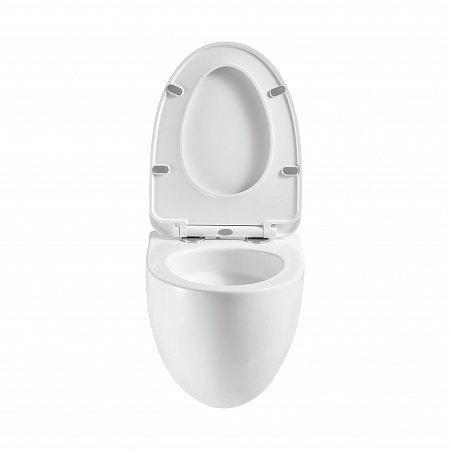 Подвесной унитаз безободковый Terminus Енисей Monolit 560х390 белый Ставрополь - фото 5