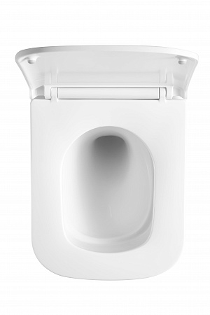 Подвесной унитаз безободковый Terminus Ватикан Monolit 490х340 белый Ставрополь - фото 3